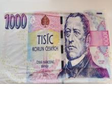 Povlak na polštář 1000